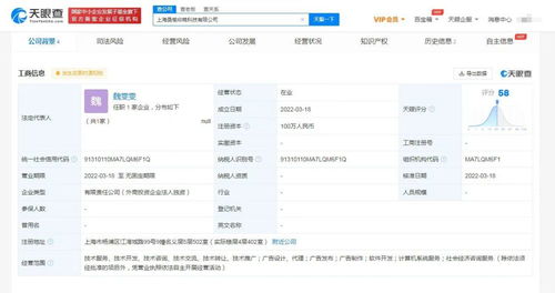 計算機系統(tǒng)服務 數(shù)字化時代的基石與引擎